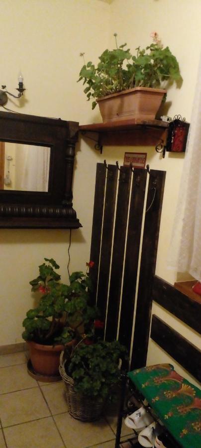 Dutch Farm In Felsolajos Apartment Екстериор снимка